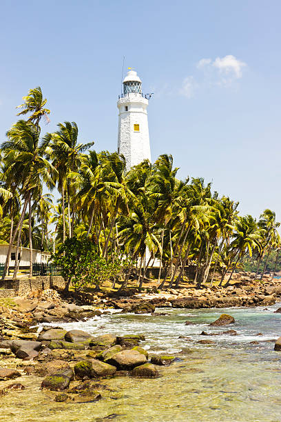 istock Beautiful tropical landscape with white Dondra Head Lighthouse and palms 488504567