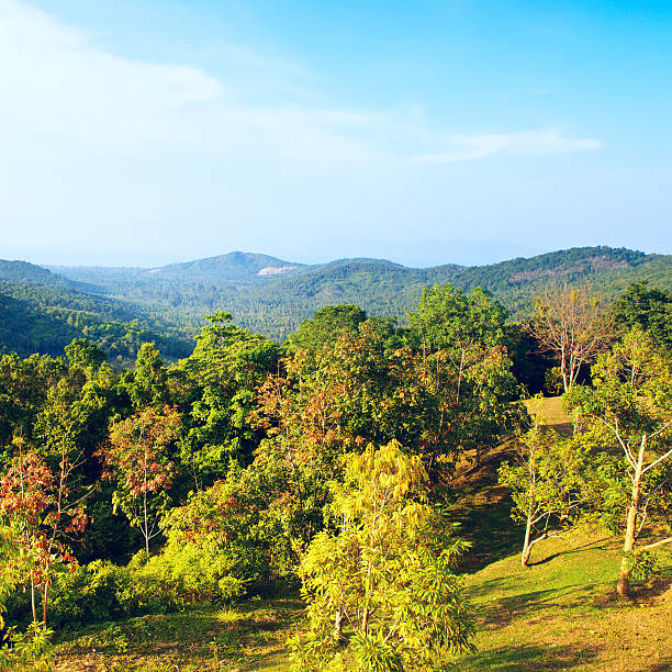 istock Beautiful Tropic Landscape 488506514