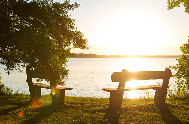 istock sunset at a lake with old trees and bench 488507508