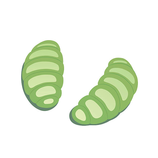 slugs - slug bacterium monster virus stock illustrations