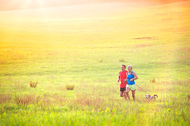 Senior couple running Active seniors running with their dog outside in green nature blue beagle stock pictures, royalty-free photos & images