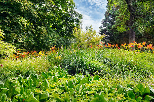 istock summer park with a beautiful flowerbed 488509704