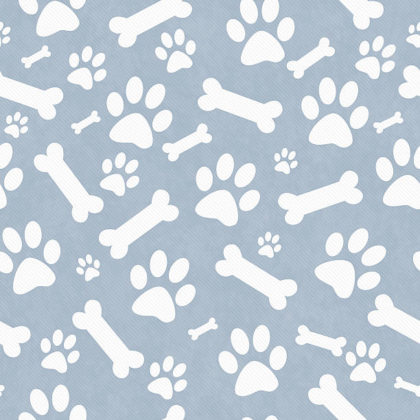 azul e branco cão paw imprime e ossos padrão de fundo - foot wraps imagens e fotografias de stock