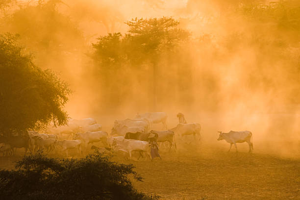 istock Bagan sunrise, the greates ancient city, Myanmar, Asia 488512724