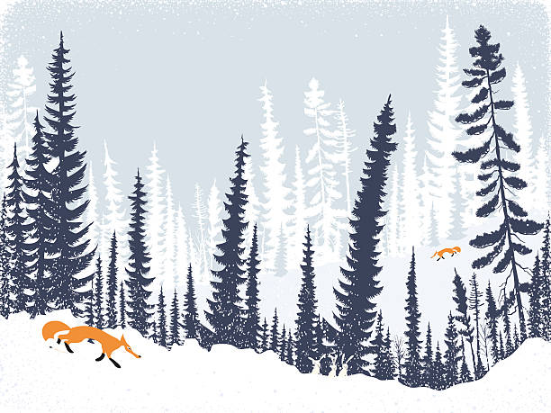 Foxes in the forest vector art illustration