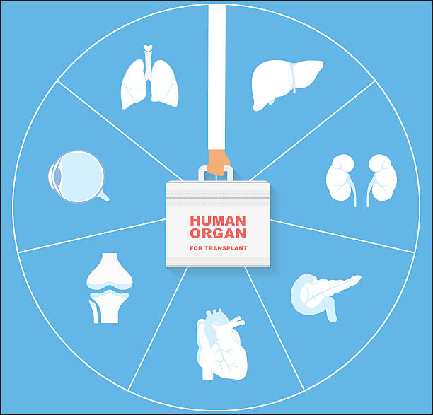 illustrations, cliparts, dessins animés et icônes de les organe de transplanter icône set. transplantation de ograns concept. - transplantation cardiaque