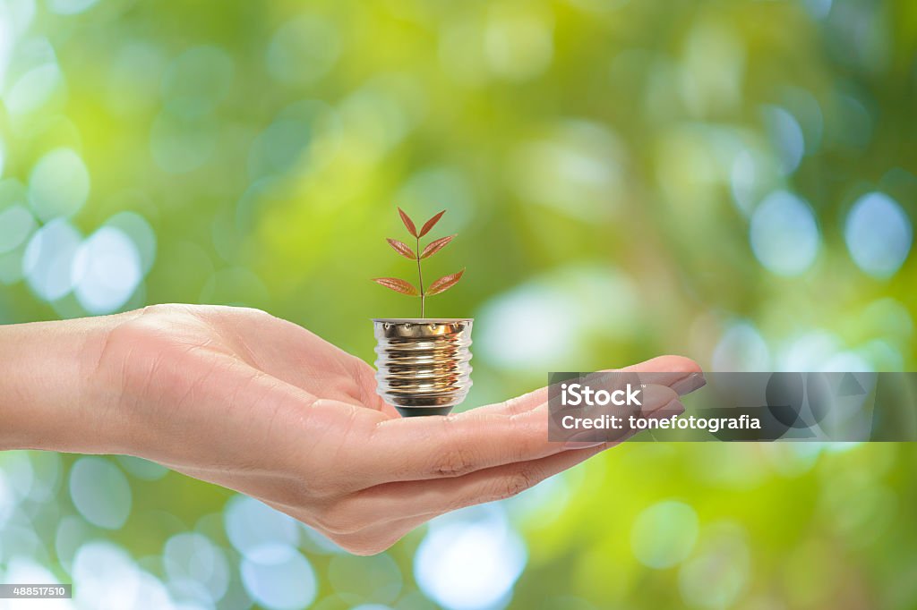 Save earth concept Save earth conceptSave earth concept 2015 Stock Photo