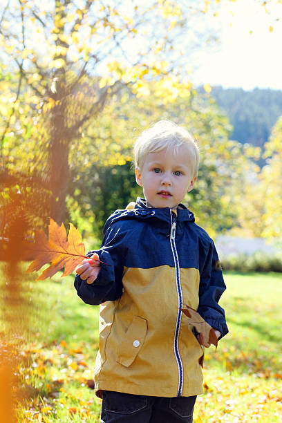 istock Boy holding maple leaves in autumn 488517556