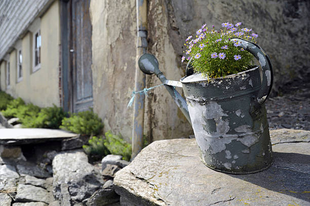 Old watering pot with fresh flowers in it.
