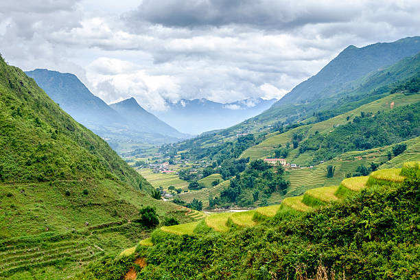 istock Rice fields on terrace at SAPA, Lao Cai, Vietnam 488519084