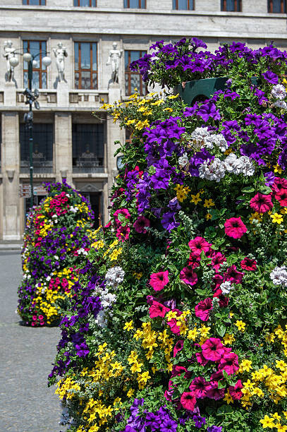 istock flowers on the street 488521954