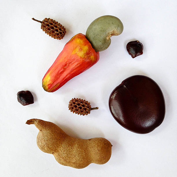 Exotic seeds
