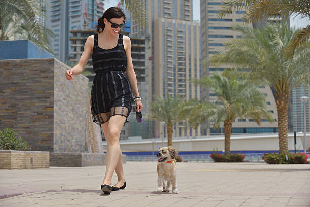 istock happy young woman with puppy have fun 488522733
