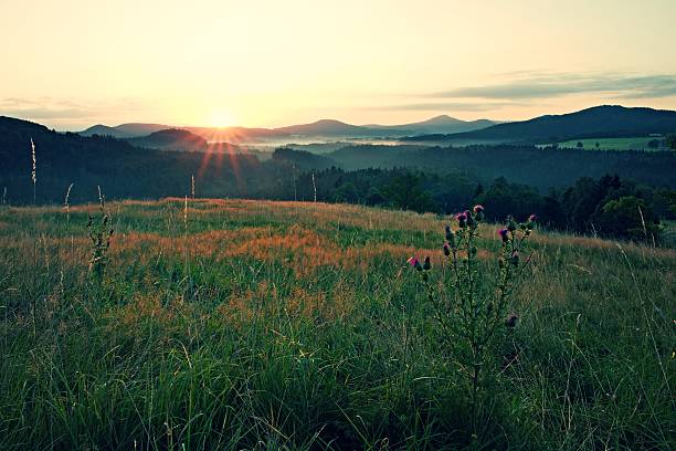 istock Sunrise Landscape.Early Morning Meadow. 488523052