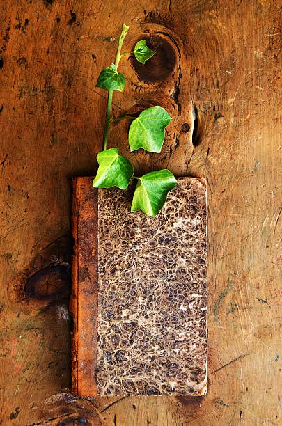 istock Vintage wood table with book and sprout 488524310