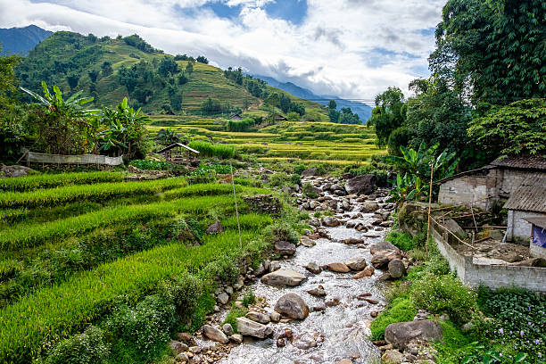 istock Rice fields on terrace at SAPA, Lao Cai, Vietnam 488524380