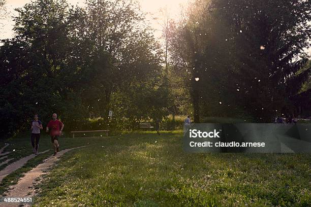 Fare Jogging Nel Parco Della Città - Fotografie stock e altre immagini di Allenamento - Allenamento, Ambientazione esterna, Bellezza naturale