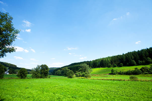 istock Summer greenery of valley in Sauerland 488524672