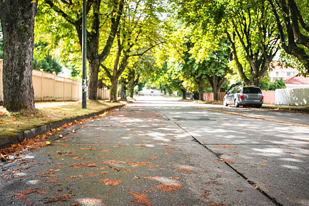 istock autumn road in Vancouver 488525570