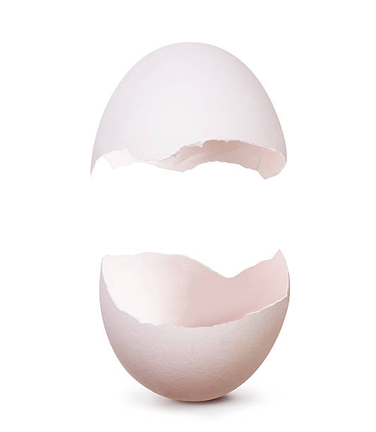 vuoto guscio d'uovo - guscio duovo foto e immagini stock