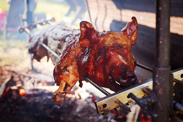 gebratene the schwein - pig roasted spit roasted domestic pig stock-fotos und bilder