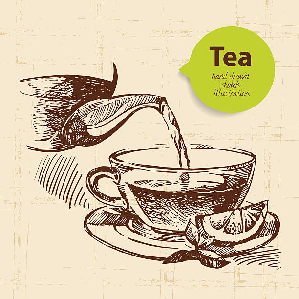 ilustraciones, imágenes clip art, dibujos animados e iconos de stock de fondo de té vintage. ilustración de dibujo a mano. menú des - cinnamon ground spice single object