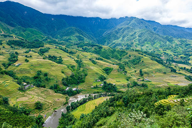 istock Rice fields on terrace at SAPA, Lao Cai, Vietnam 488527612