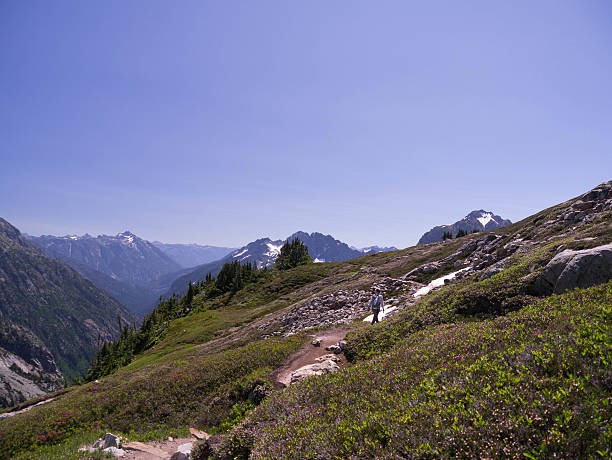 istock Solitary Female Backpacker on Mountain Trail 488528498