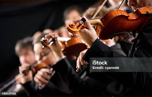 Orchester Abschnitt Ersten Violine Stockfoto und mehr Bilder von Orchester - Orchester, Klassisches Konzert, Klassische Musik