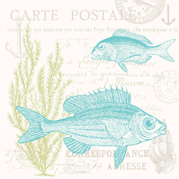 블루 고기잡이 - fish sea life abstract alphabet stock illustrations
