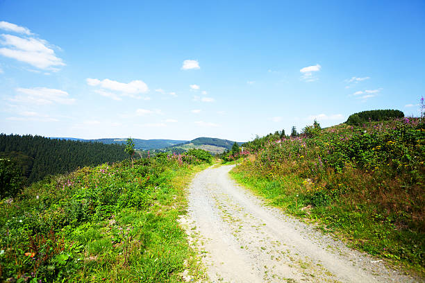 Summershot of country-ski run and pathway in Rothaargebirge Summershot of country-ski run and pathway in Rothaargebirge, part of Rothaarsteig. South of Langewiese close to Winterberg. winterberg photos stock pictures, royalty-free photos & images