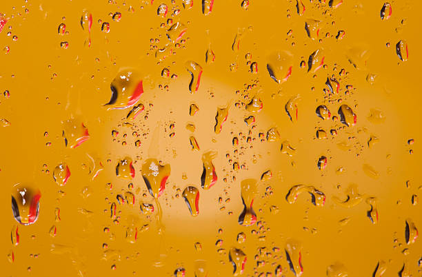istock Belgium flag reflected in water droplets 488531248