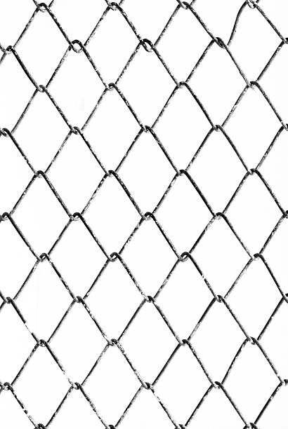 istock Texture background of mesh grilles, black and white. 488531314