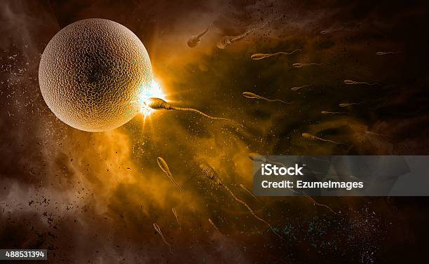 Sperm And Egg Stock Photo - Download Image Now - Human Egg, Sperm, 2015