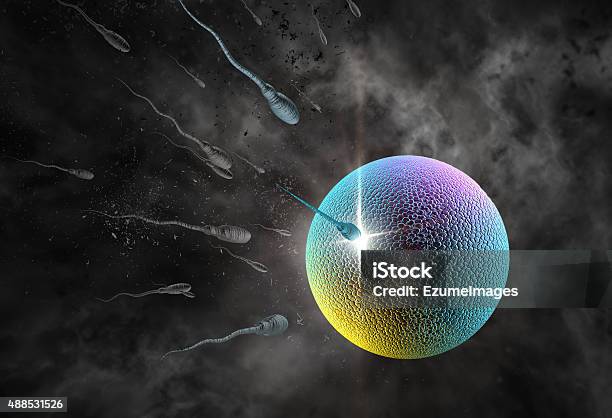 Sperm And Egg Stock Photo - Download Image Now - Human Egg, Sperm, Three Dimensional