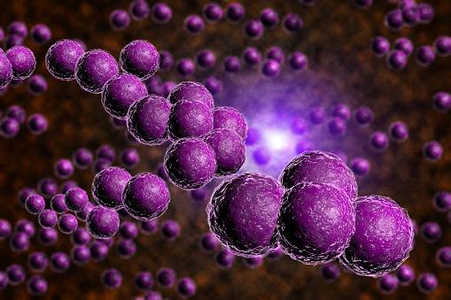 Closeup of purple staph bacteria in computer generated image