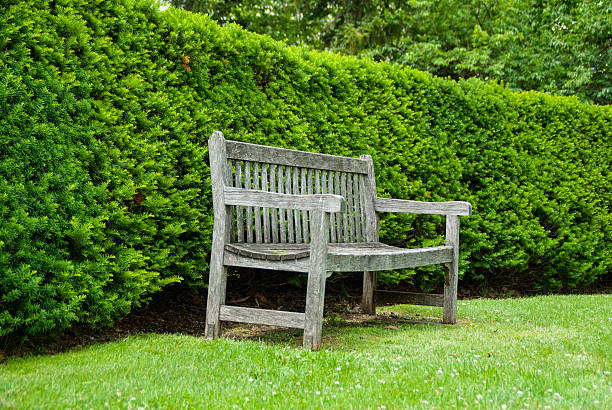 istock Rustic Wooden Bench on a Green Lawn in Summer Garden. 488534546