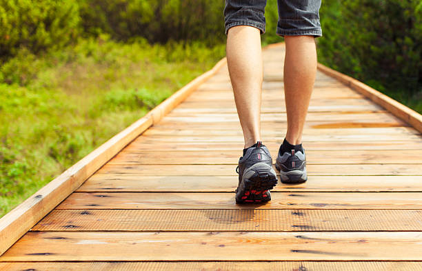 istock Man walking in the woods 488539736