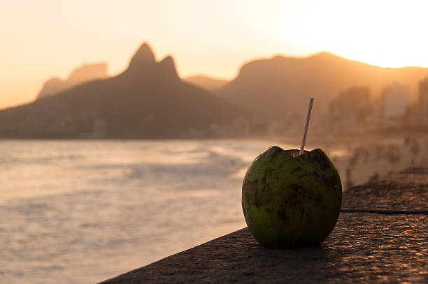 istock Coconut Drink in Ipanema Beach by Sunset 488541254