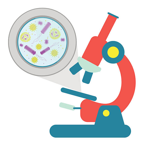 illustrations, cliparts, dessins animés et icônes de micro-organismes sous microscope - toxic substance dirt pollution scientific experiment