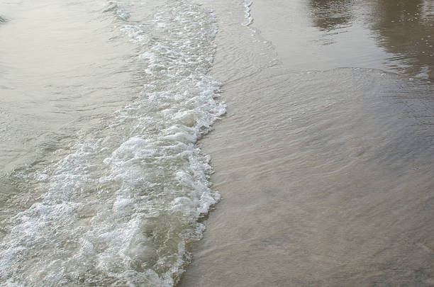 soft wave of the sea on the sandy beach