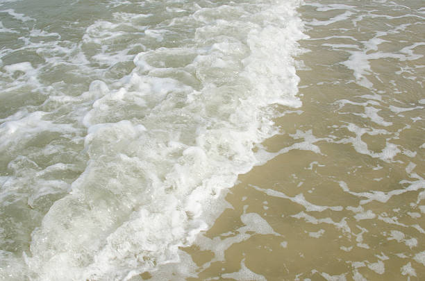 soft wave of the sea on the sandy beach