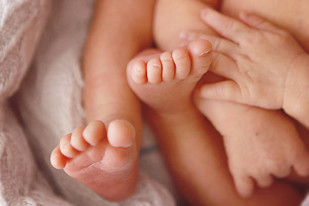 istock Newborn Hands and Feet 488542740