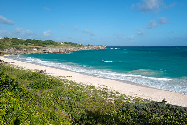 istock Barbados Island, Caribbean sea 488543210