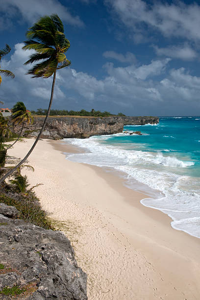 istock Barbados Island, Caribbean sea 488543640