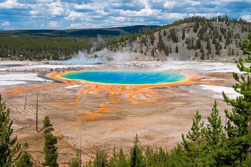 View of beautiful pool in geyser area in Yellowstone National Park, Wyoming, USA.
