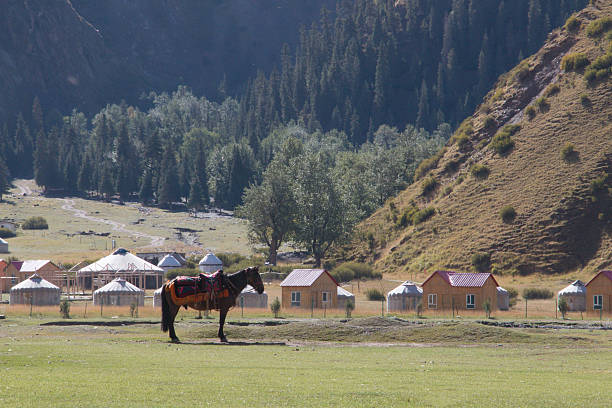 istock Horse standing in front of yurts 488544308