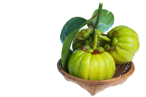 Still life garcinia atroviridis fresh fruit on wood basket. Isolated on white background. Thai herb and sour flavor lots of vitamin C. Extract as a weight loss product.