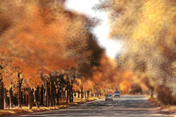 istock blurred background autumn forest with yellow leaves 488548784