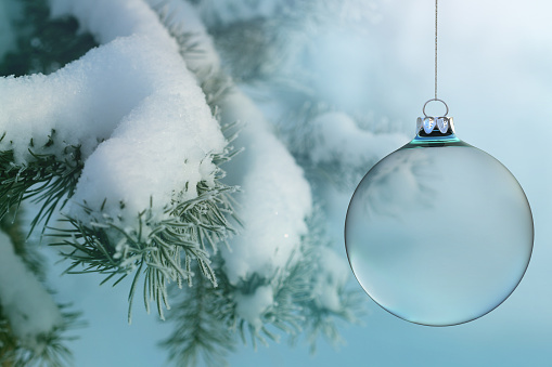 Transparent Christmas ball on a snowy fir
